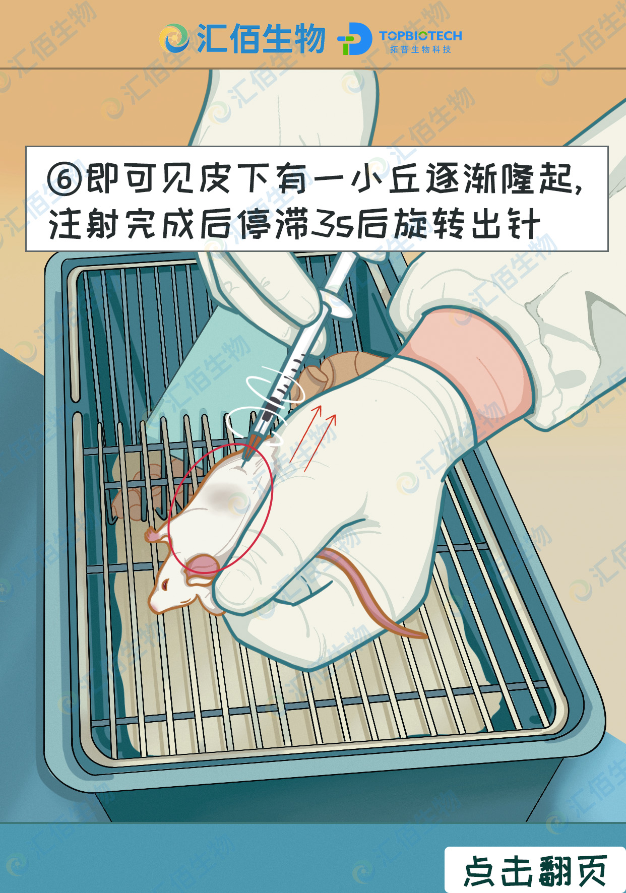 06步骤六即可见皮下有一小丘逐渐隆起, 注射完毕后,旋转出针.jpg